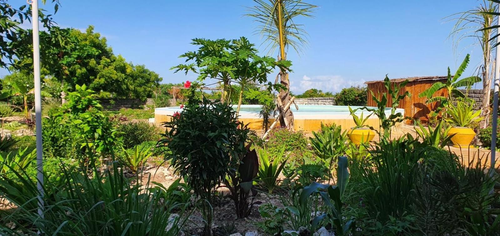 Matemwe Ocean View Villas Exterior foto